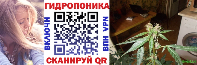Марихуана план  наркота  кракен tor  Пущино 